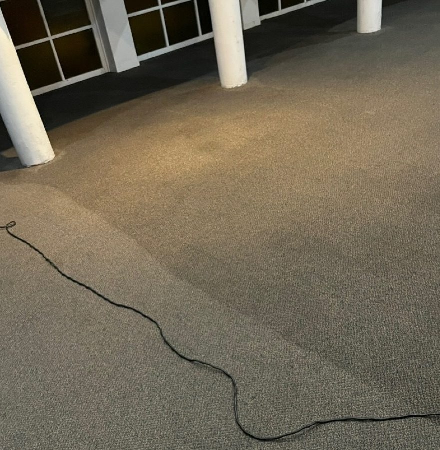 Carpet extraction in progress, clean line visible across the entry
